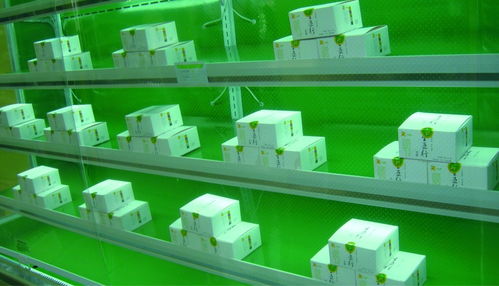 五行豆腐農(nóng)產(chǎn)品包裝設(shè)計(jì)與市場(chǎng)營(yíng)銷策劃方案